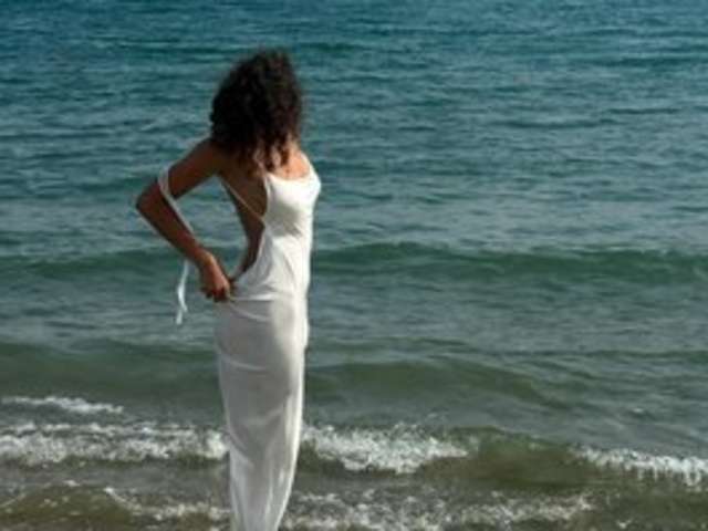 go to chat with Adisson-fox