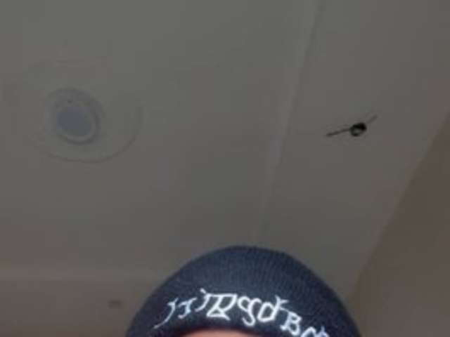 CEECEE amateur webcam photo