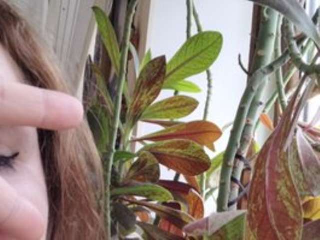 go to chat with Crazycouple8