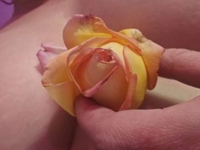 go to chat with Delicious-Dahlia