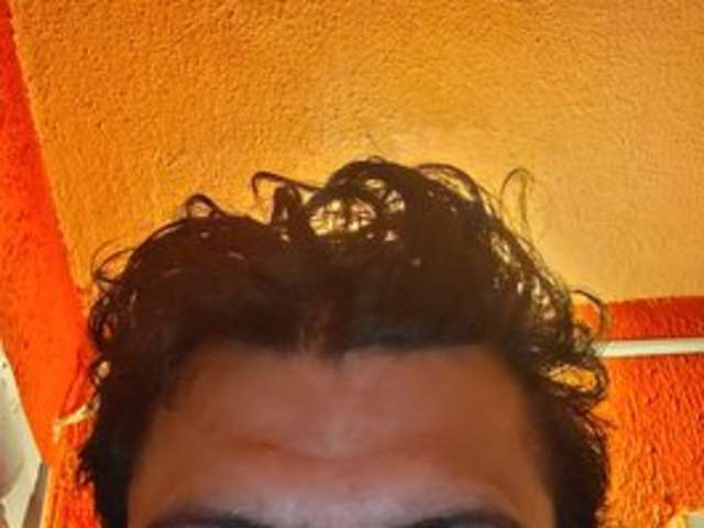 go to chat with Elver-galarga2