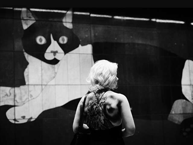 go to chat with HannahVivid
