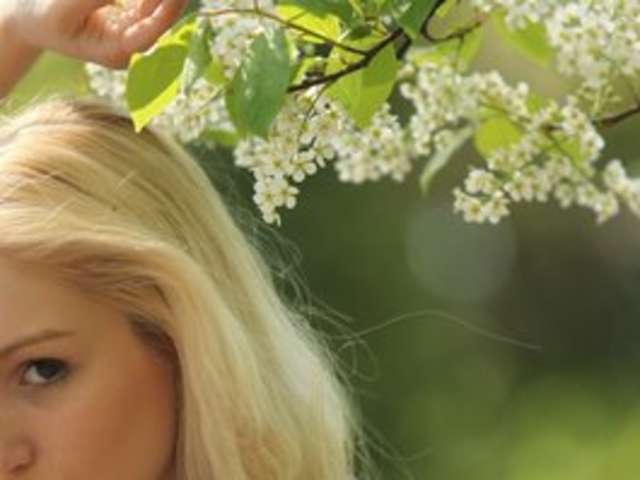 go to chat with Koshka-2