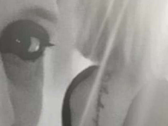 go to chat with Lilie6969