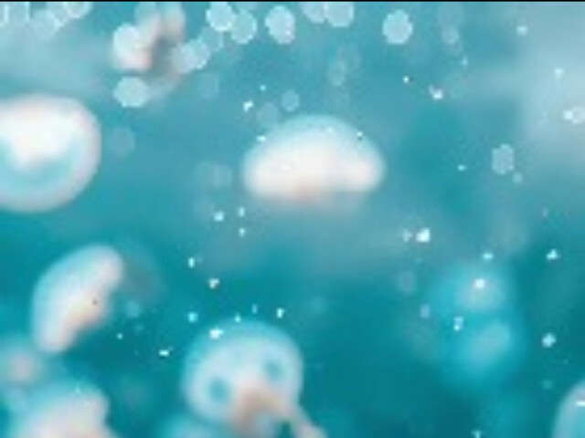 go to chat with Sofiaxx