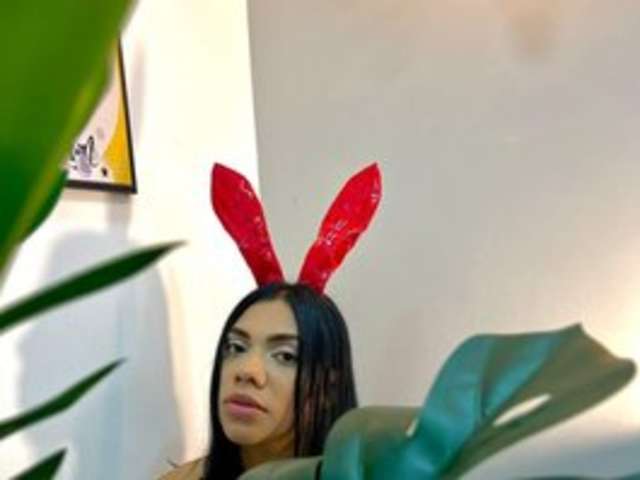 go to chat with maidebram