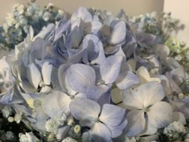 go to chat with ruty22